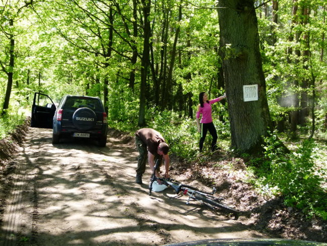 Zaskakująco blisko do Rydzyny (zdjęcia)