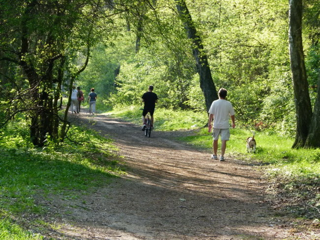 Zaskakująco blisko do Rydzyny (zdjęcia)