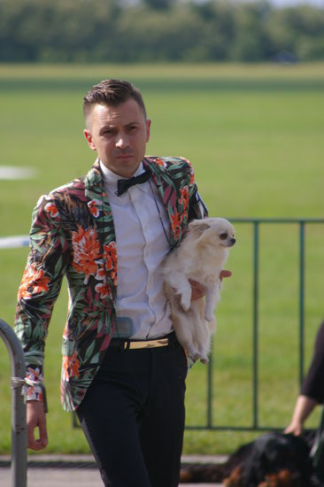 Pudelek pokonał 1700 psów (zdjęcia)