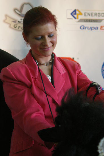 Pudelek pokonał 1700 psów (zdjęcia)