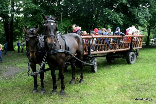 Bawili się świetnie, wbrew pogodzie (zdjęcia)