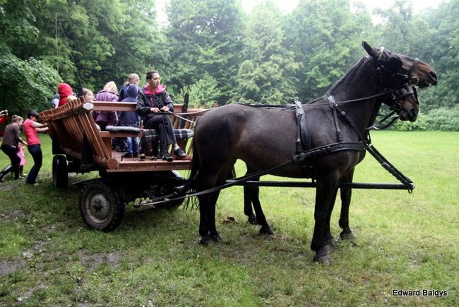 Bawili się świetnie, wbrew pogodzie (zdjęcia)