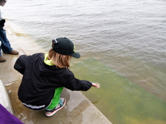 Dużo wody pod Rydzyną (zdjęcia)