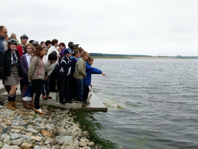 Dużo wody pod Rydzyną (zdjęcia)