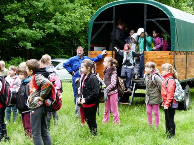 Edukacja przy leśniczówce (zdjęcia)