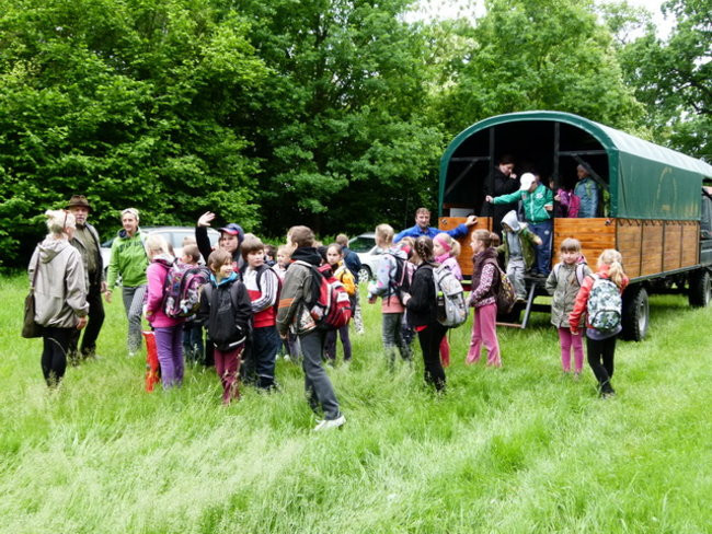 Edukacja przy leśniczówce (zdjęcia)