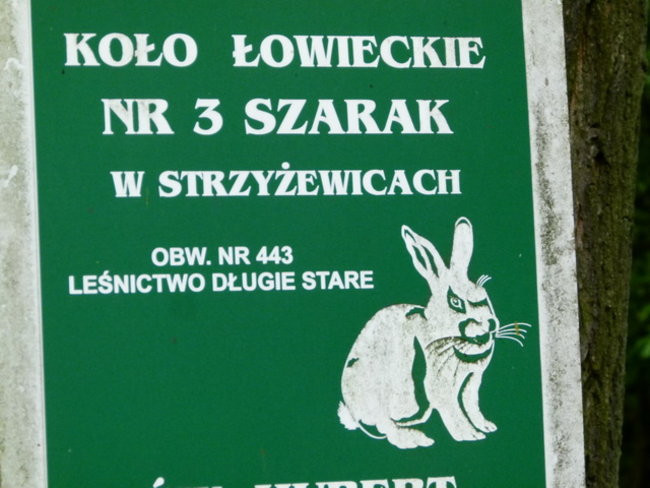 Edukacja przy leśniczówce (zdjęcia)