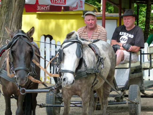 Festyn i zawody w Osiecznej (zdjęcia)