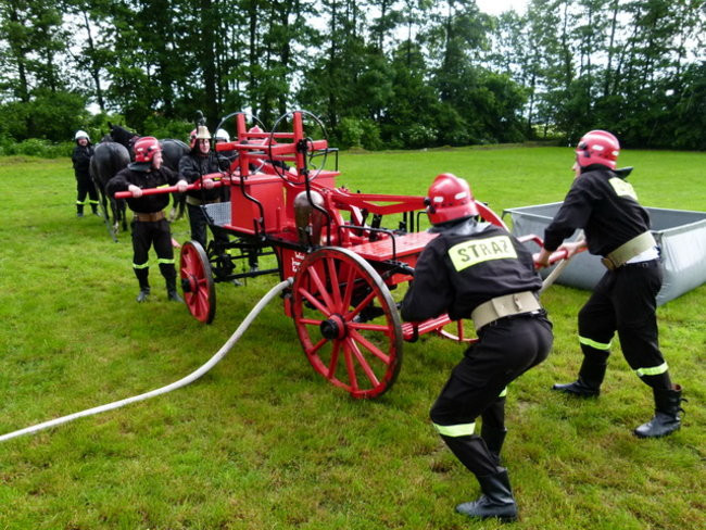 Sikająca stulatka (zdjęcia)
