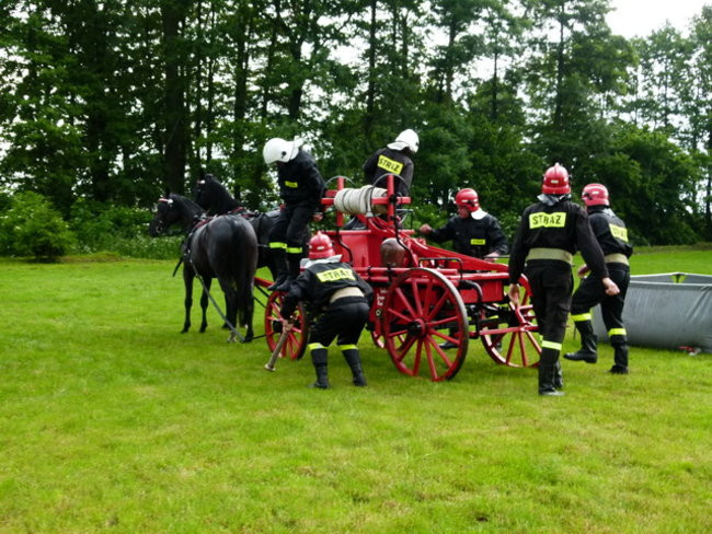 Sikająca stulatka (zdjęcia)