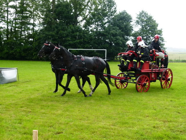 Sikająca stulatka (zdjęcia)