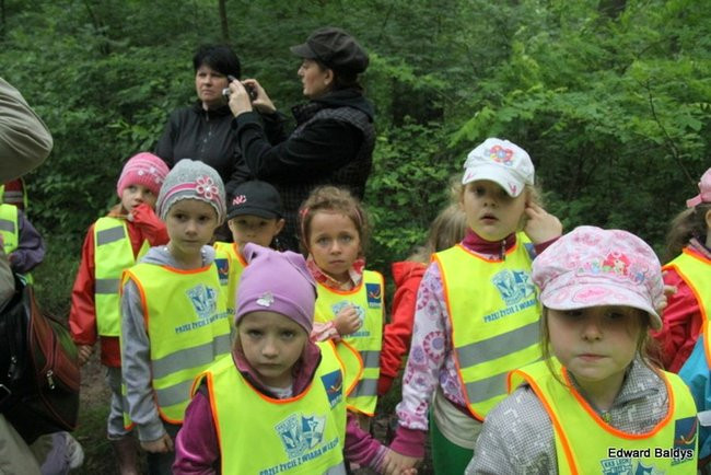 W lesie jest ciekawie (zdjęcia)