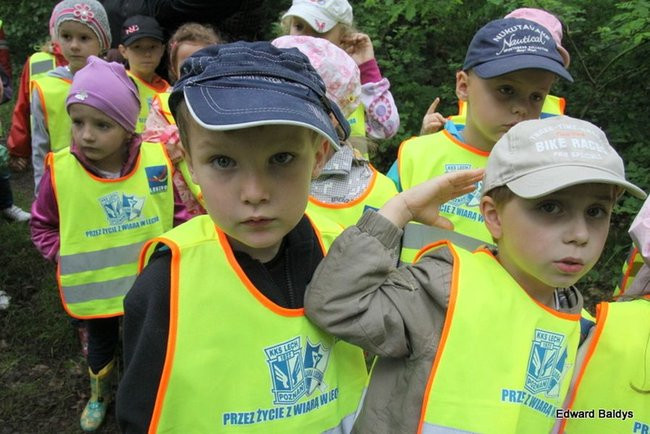 W lesie jest ciekawie (zdjęcia)