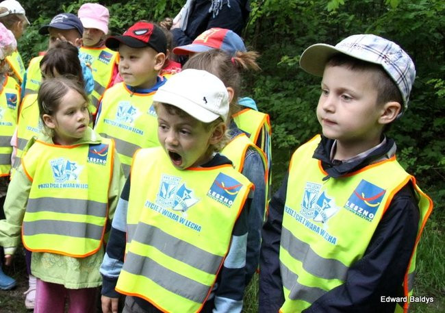 W lesie jest ciekawie (zdjęcia)