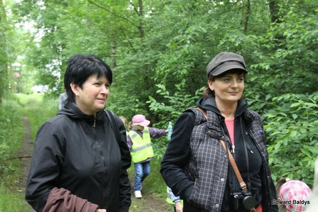 W lesie jest ciekawie (zdjęcia)