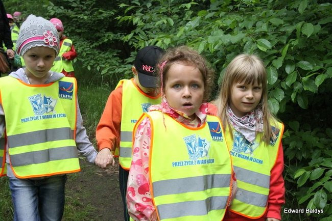 W lesie jest ciekawie (zdjęcia)