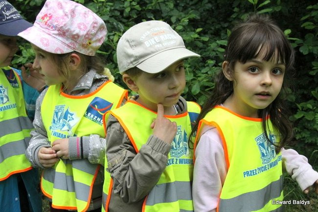 W lesie jest ciekawie (zdjęcia)