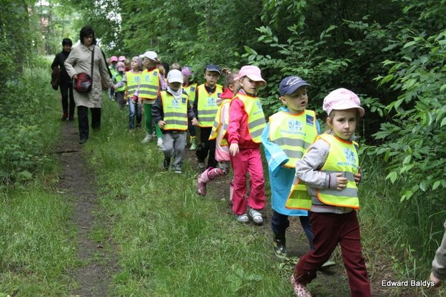 W lesie jest ciekawie (zdjęcia)