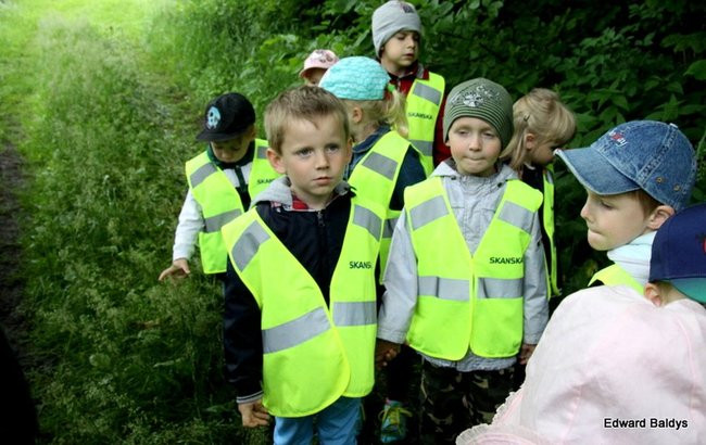 W lesie jest ciekawie (zdjęcia)