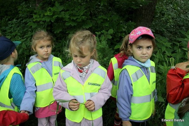 W lesie jest ciekawie (zdjęcia)