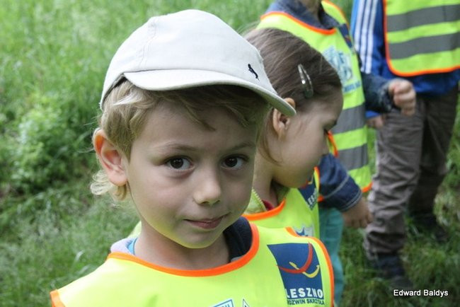 W lesie jest ciekawie (zdjęcia)