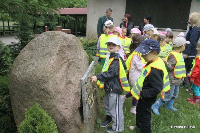 W lesie jest ciekawie (zdjęcia)