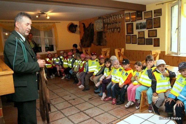 W lesie jest ciekawie (zdjęcia)