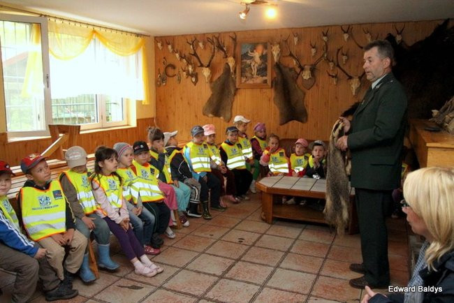 W lesie jest ciekawie (zdjęcia)