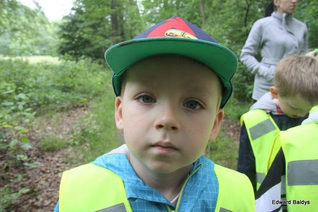 W lesie jest ciekawie (zdjęcia)