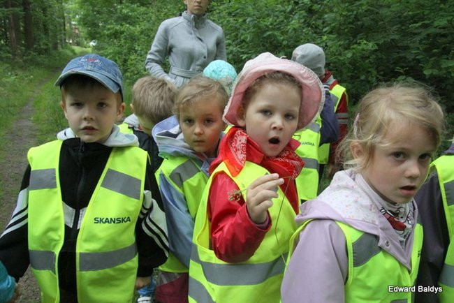 W lesie jest ciekawie (zdjęcia)