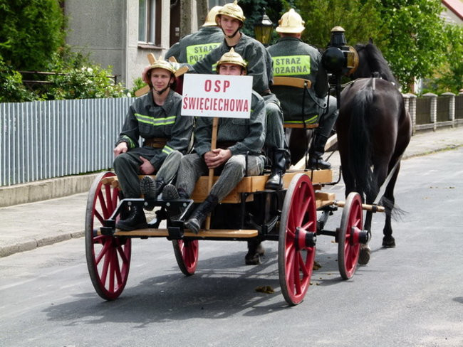 Sikali w Święciechowie (zdjęcia)