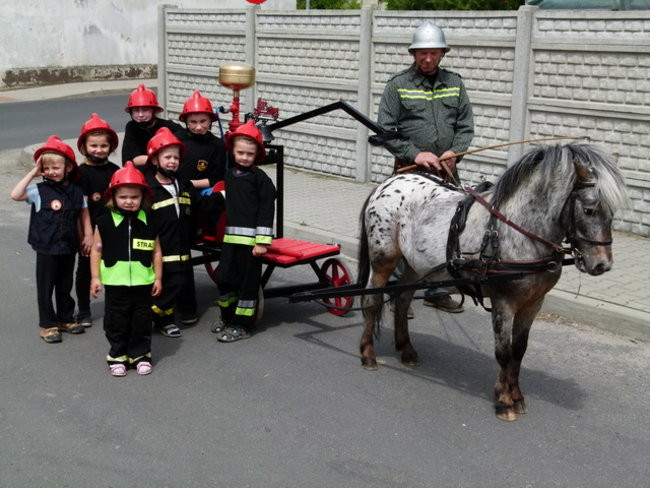 Sikali w Święciechowie (zdjęcia)