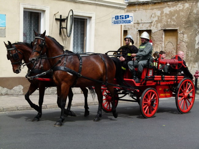 Sikali w Święciechowie (zdjęcia)