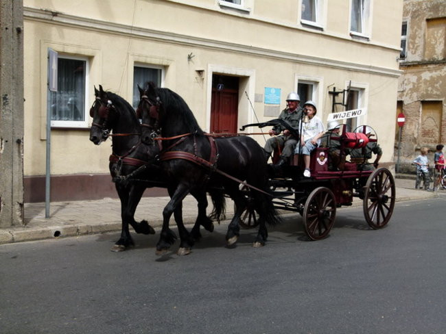 Sikali w Święciechowie (zdjęcia)