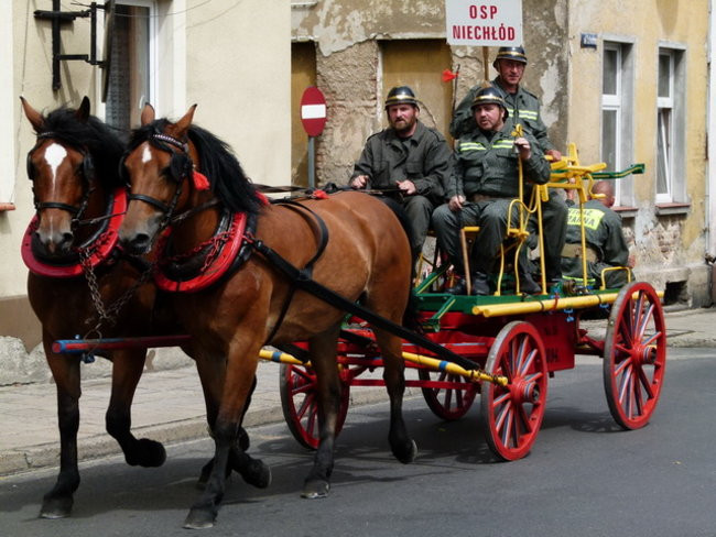 Sikali w Święciechowie (zdjęcia)
