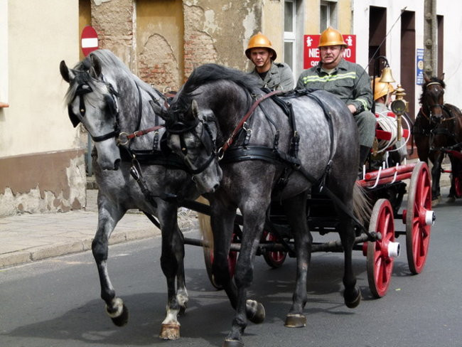 Sikali w Święciechowie (zdjęcia)