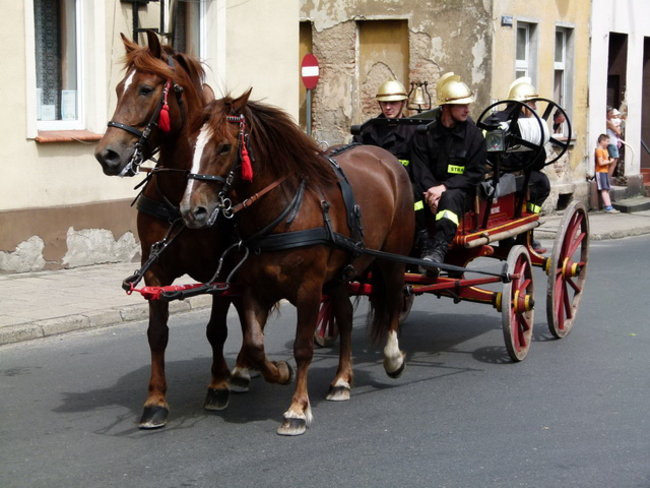 Sikali w Święciechowie (zdjęcia)