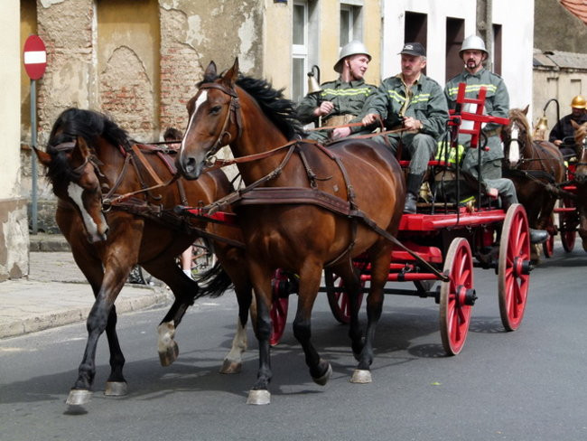 Sikali w Święciechowie (zdjęcia)
