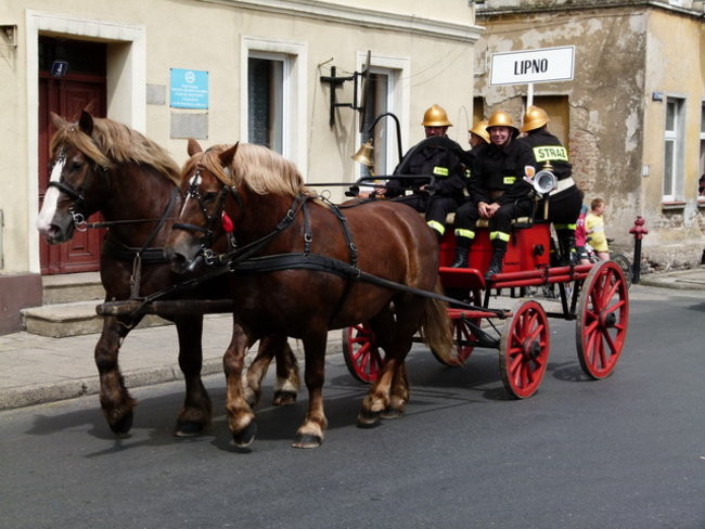 Sikali w Święciechowie (zdjęcia)
