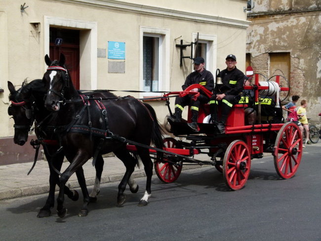 Sikali w Święciechowie (zdjęcia)