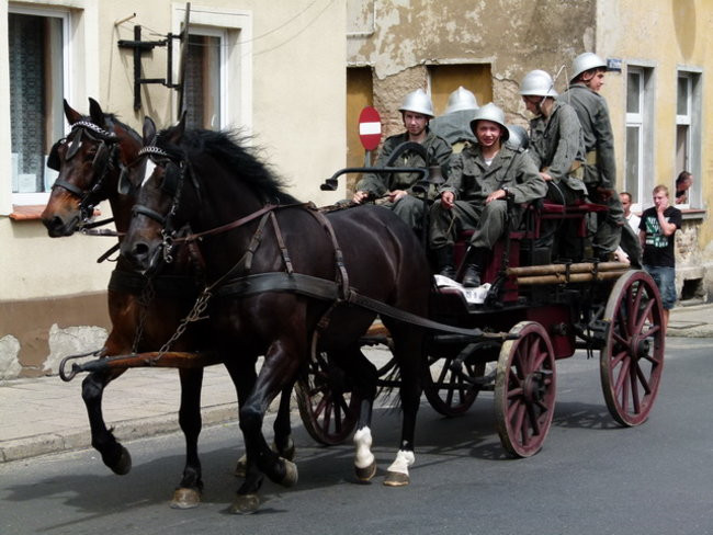 Sikali w Święciechowie (zdjęcia)