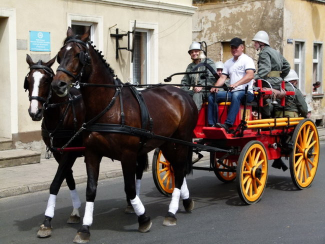 Sikali w Święciechowie (zdjęcia)