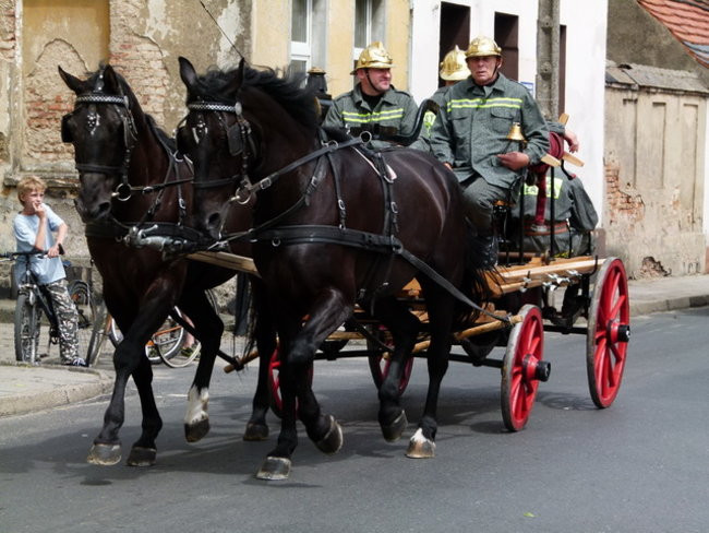 Sikali w Święciechowie (zdjęcia)
