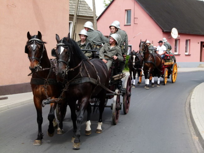 Sikali w Święciechowie (zdjęcia)