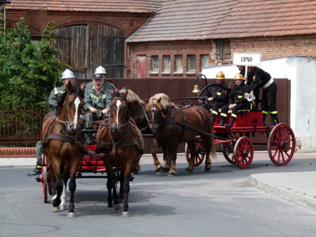 Sikali w Święciechowie (zdjęcia)