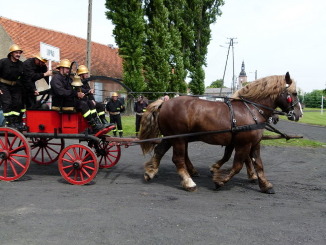 Sikali w Święciechowie (zdjęcia)