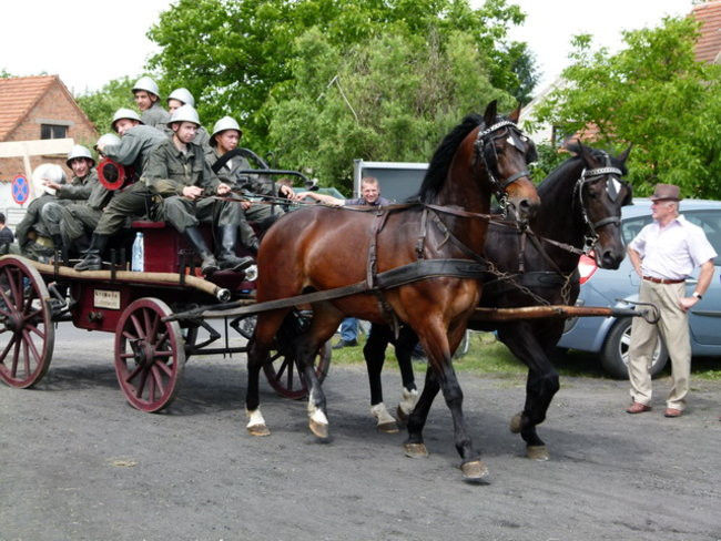 Sikali w Święciechowie (zdjęcia)
