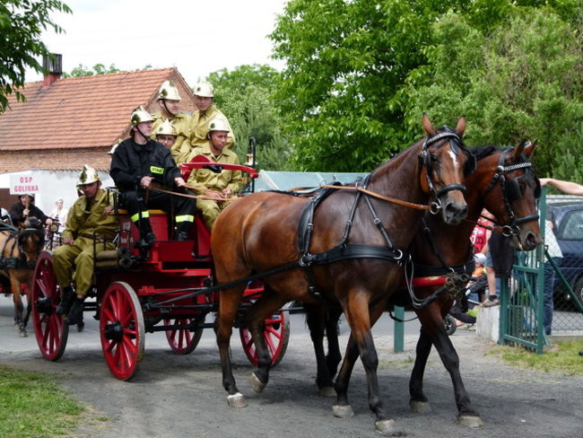 Sikali w Święciechowie (zdjęcia)