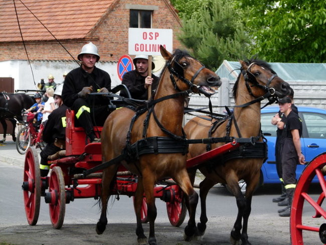 Sikali w Święciechowie (zdjęcia)