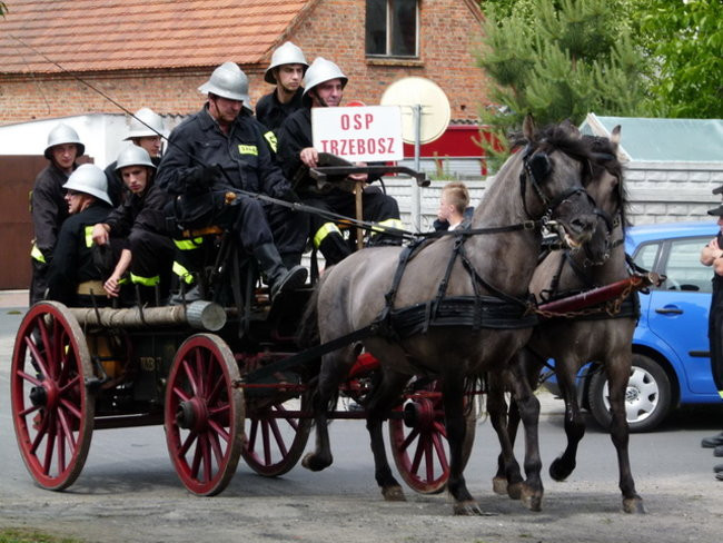 Sikali w Święciechowie (zdjęcia)